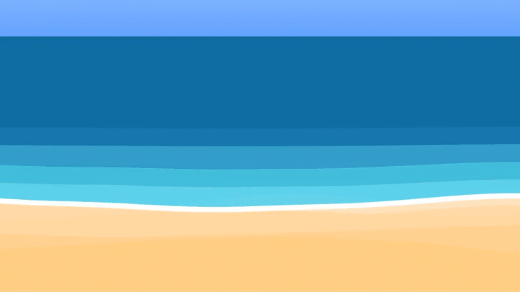Seagull